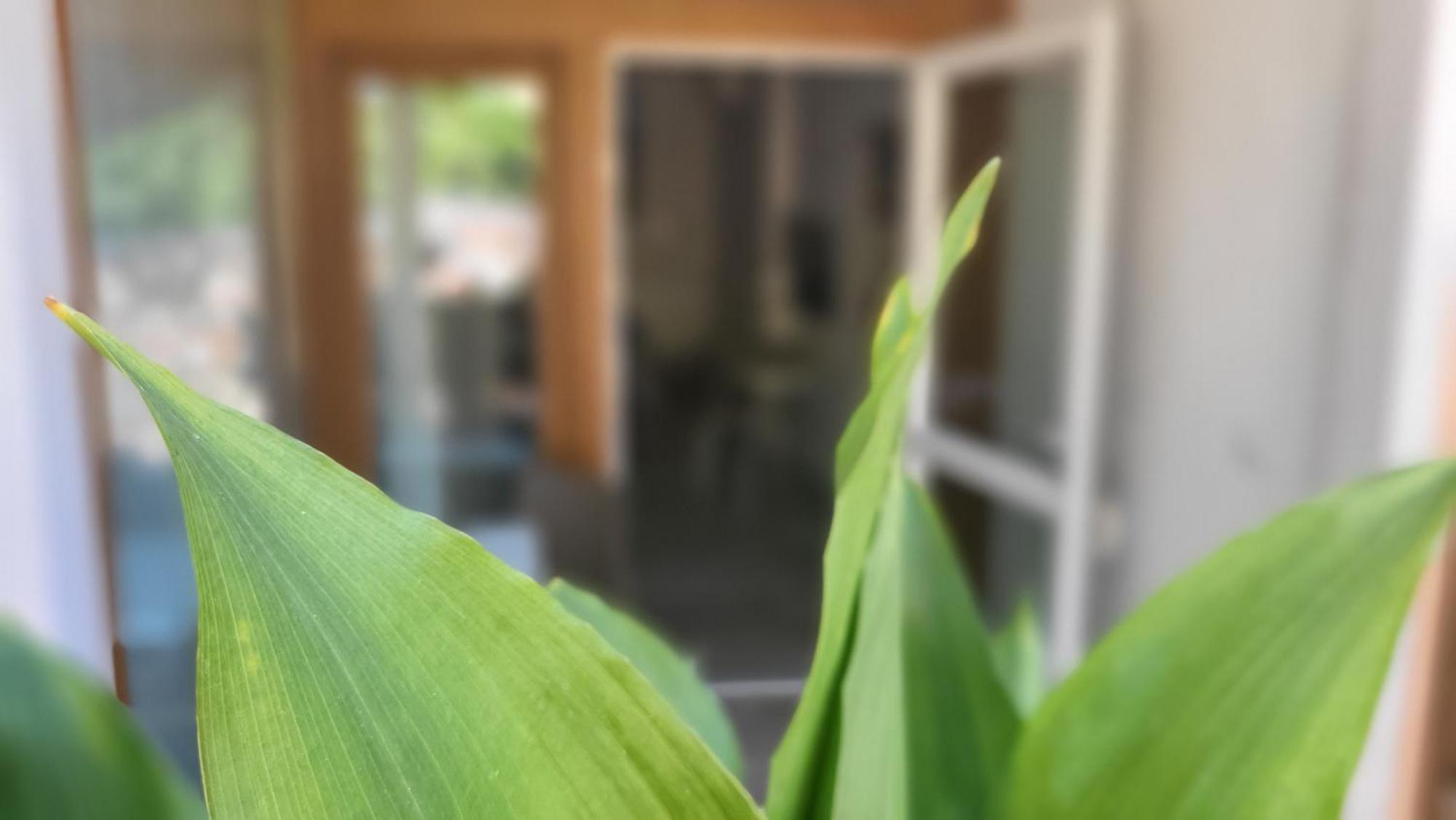 Residence Villa Margherita Brenzone sul Garda Zewnętrze zdjęcie