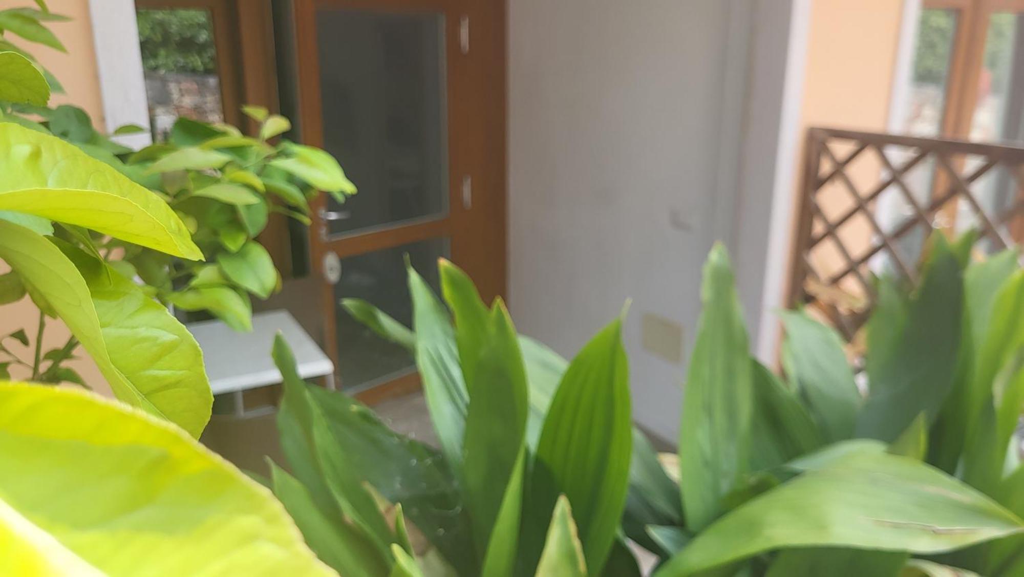Residence Villa Margherita Brenzone sul Garda Zewnętrze zdjęcie