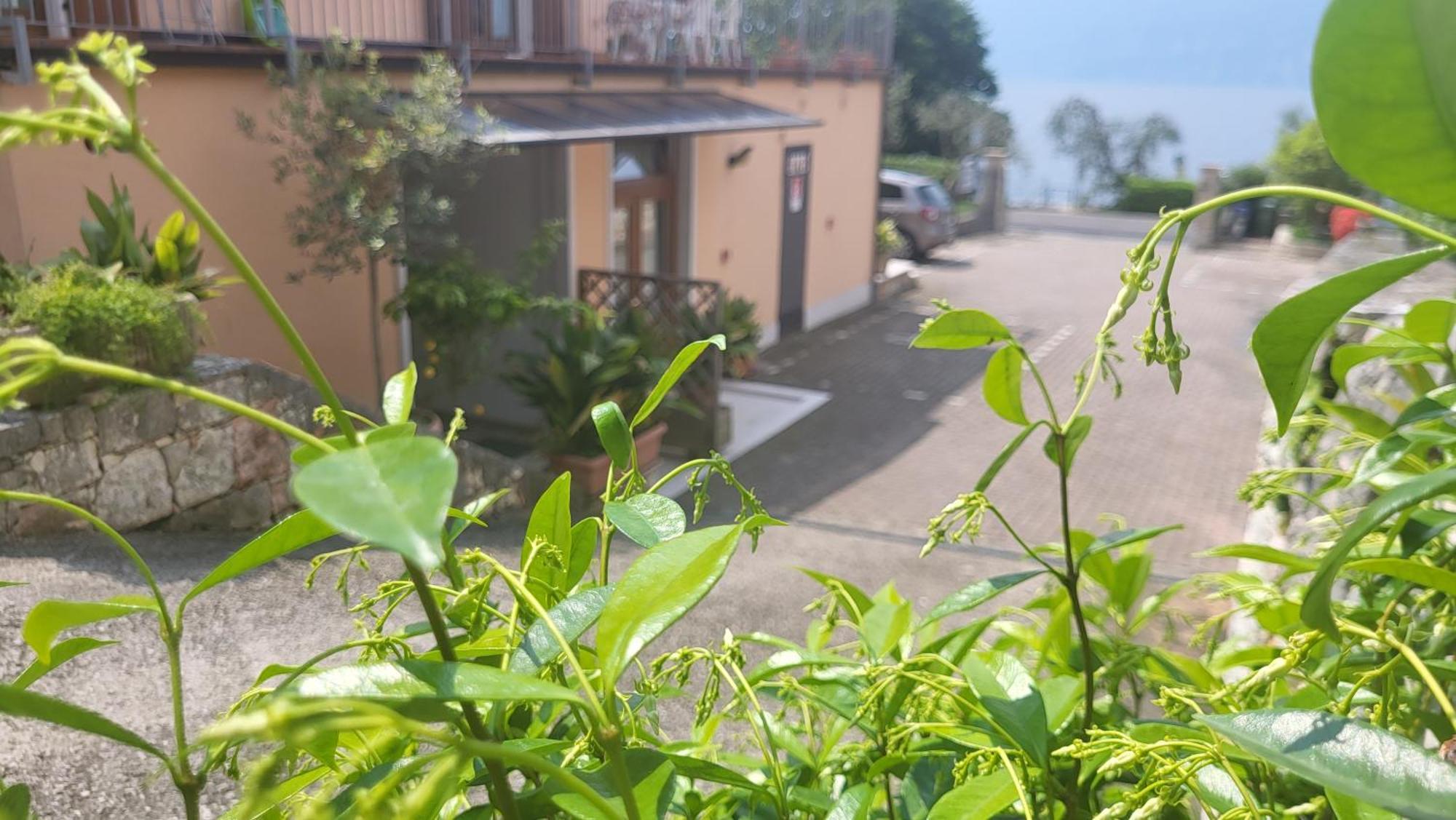 Residence Villa Margherita Brenzone sul Garda Zewnętrze zdjęcie